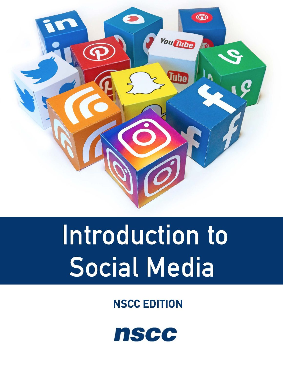 Cover image for Introduction to Social Media