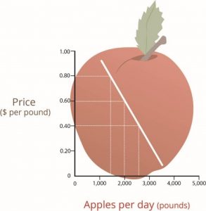 A graph with numbers 0-5000 on the X axis for pounds of apples per day and 0-1.0 for Price per pound on the Y axis. The demand curve shows a diagonal line moving lower from left to right.