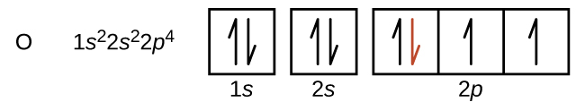 This figure includes the element symbol O followed by the electron configuration 1 s superscript 2 2 s superscript 2 2 p superscript 4. An orbital diagram follows, which consists of two individual squares, labeled as, “1 s,” and, “2 s,” below followed by a grouping of three connected squares which are labeled, “2 p.” All boxes are oriented in a row. The two individual squares and the first square in the row of connected squares contain a pair of half arrows. One half arrow in each pair points up, and one points down. The downward pointing arrow in the first square in the row of connected squares is red. The remaining two squares each contain single upward pointing half arrows.