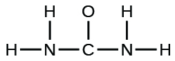 A Lewis structure is shown. A nitrogen atom is single bonded to two hydrogen atoms and a carbon atom. The carbon atom is single bonded to an oxygen atom and another nitrogen atom. That nitrogen atom is then single bonded to two hydrogen atoms.