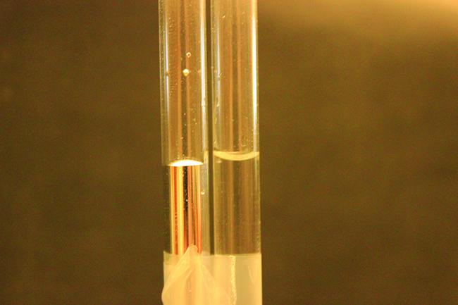 This figure shows two test tubes. The test tube on the left contains mercury with a meniscus that rounds up. The test tube on the right contains water with a meniscus that rounds down.