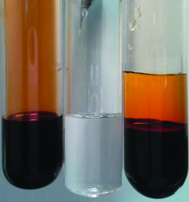 This figure shows three test tubes. The first test tube holds a dark orange-brown substance. The second test tube holds a clear substance. The amount of substance in both test tubes is the same. The third test tube holds a dark orange-brown substance on the bottom with a lighter orange substance on top. The amount of substance in the third test tube is almost double of the first two.
