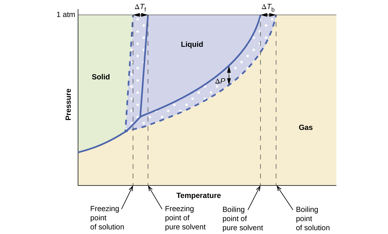 This phase diagram indicates the pressure in atmospheres of water and a solution at various temperatures. The graph shows the freezing point of water and the freezing point of the solution, with the difference between these two values identified as delta T subscript f. The graph shows the boiling point of water and the boiling point of the solution, with the difference between these two values identified as delta T subscript b. Similarly, the difference in the pressure of water and the solution at the boiling point of water is shown and identified as delta P. This difference in pressure is labeled vapor pressure lowering. The lower level of the vapor pressure curve for the solution as opposed to that of pure water shows vapor pressure lowering in the solution. Background colors on the diagram indicate the presence of water and the solution in the solid state to the left, liquid state in the central upper region, and gas to the right.