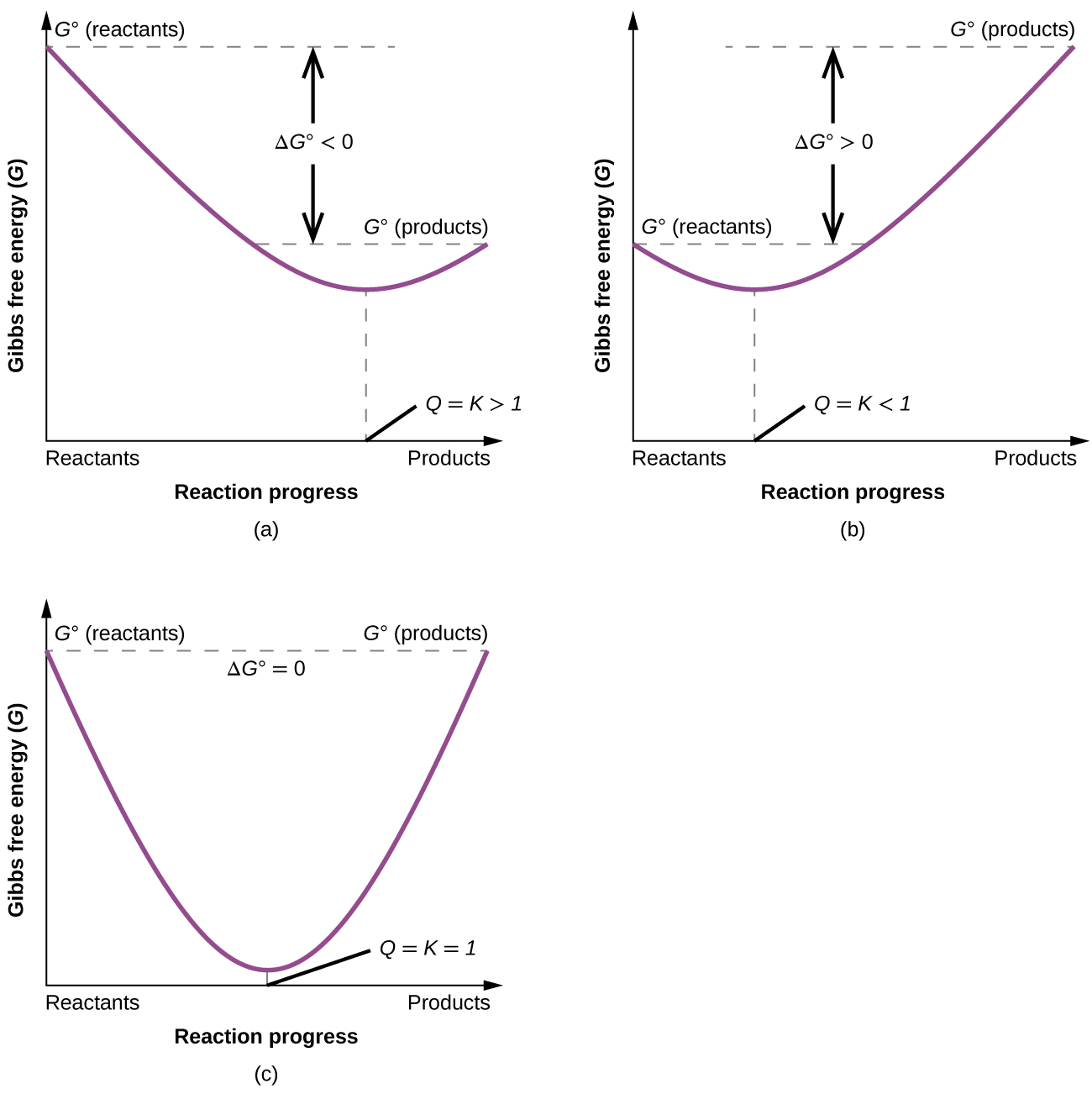 Three graphs, labeled, “a,” “b,” and “c” are shown where the y-axis is labeled, “Gibbs free energy ( G ),” and, “G superscript degree sign ( reactants ),” while the x-axis is labeled, “Reaction progress,” and “Reactants,” on the left and, “Products,” on the right. In graph a, a line begins at the upper left side and goes steadily down to a point about halfway up the y-axis and two thirds of the way on the x-axis, then rises again to a point labeled, “G superscript degree sign ( products ),” that is slightly higher than halfway up the y-axis. The distance between the beginning and ending points of the graph is labeled as, “delta G less than 0,” while the lowest point on the graph is labeled, “Q equals K greater than 1.” In graph b, a line begins at the middle left side and goes steadily down to a point about two fifths up the y-axis and one third of the way on the x-axis, then rises again to a point labeled, “G superscript degree sign ( products ),” that is near the top of the y-axis. The distance between the beginning and ending points of the graph is labeled as, “delta G greater than 0,” while the lowest point on the graph is labeled, “Q equals K less than 1.” In graph c, a line begins at the upper left side and goes steadily down to a point near the bottom of the y-axis and half way on the x-axis, then rises again to a point labeled, “G superscript degree sign ( products ),” that is equal to the starting point on the y-axis which is labeled, “G superscript degree sign ( reactants ).” The lowest point on the graph is labeled, “Q equals K equals 1.” At the top of the graph is the label, “Delta G superscript degree sign equals 0.”