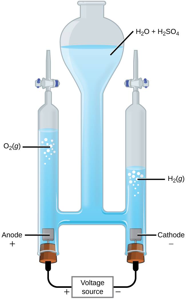 This figure shows an apparatus used for electrolysis. A central chamber with an open top has a vertical column extending below that is nearly full of a clear, colorless liquid, which is labeled “H subscript 2 O plus H subscript 2 S O subscript 4.” A horizontal tube in the apparatus connects the central region to vertical columns to the left and right, each of which has a valve or stopcock at the top and a stoppered bottom. On the left, the stopper at the bottom has a small brown square connected just above it in the liquid. The square is labeled “Anode plus.” A black wire extends from the stopper at the left to a rectangle which is labeled “Voltage source” on to the stopper at the right. The left side of the rectangle is labeled with a plus symbol and the right side is labeled with a negative sign. The stopper on the right also has a brown square connected to it which is in the liquid in the apparatus. This square is labeled “Cathode negative.” The level of the solution on the left arm or tube of the apparatus is significantly higher than the level of the right arm. Bubbles are present near the surface of the liquid on each side of the apparatus, with the bubbles labeled as “O subscript 2 ( g )” on the left and “H subscript 2 ( g )” on the right.