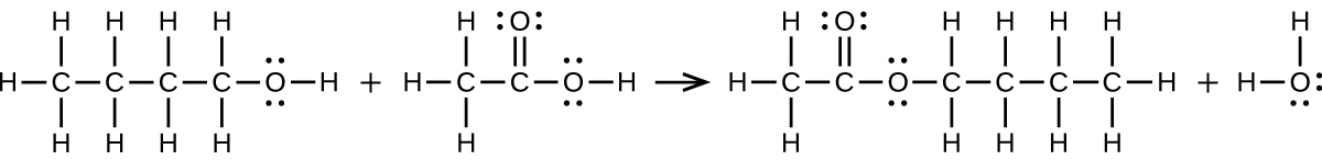 A reaction is shown. The first molecular structure shows a C atom bonded to three H atoms and another C atom. This second C atom is bonded to two H atoms and a third C atom. This third C atom is bonded to two H atoms and a fourth C atom. This C atom is bonded to two H atoms and an O atom. The O atom is bonded to an H atom. The O atom has two pairs of electrons dots. There is a plus sign. The next molecular structure shows a C atom bonded to three H atoms and another C atom. This C atom forms a double bond with an O atom and a single bond with another O atom. The O atom forms a bond with an H atom. Both O atoms have two pairs of electron dots. There is a reaction arrow that points right. The next molecular structure shows a C atom bonded to three H atoms and another C atom. This second C atom forms a double bond with an O atom and a single bond with another O atom. This second O atom is bonded to a C atom which is bonded to two H atoms and another C atom. This C atom is bonded to two H atoms and another C. This C atom is bonded to two H atoms and another C atom. The C atom is bonded to three H atoms. The O atoms have two pairs of electron dots. There is a plus sign. The final molecular structure shows an O atom bonded to two H atoms. The O atom has two pairs of electron dots.