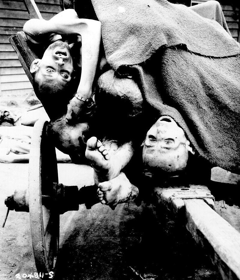 Cart full of the emaciated corpses of Holocaust victims.