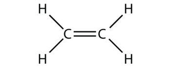 Covalent Bonds – Introductory Chemistry – 1st Canadian / NSCC ALP Edition