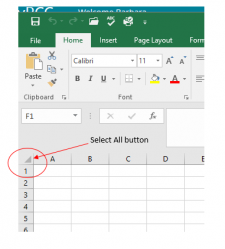 1.5 Chapter Practice – Beginning Excel