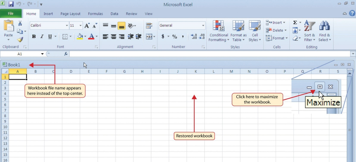 Microsoft Excel Tutorial: A Basic Introduction 