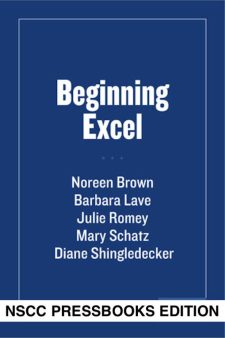 Beginning Excel book cover