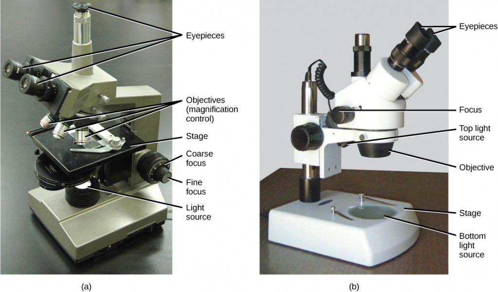 types-of-microscope-lenses-how-they-work-microscope-crew