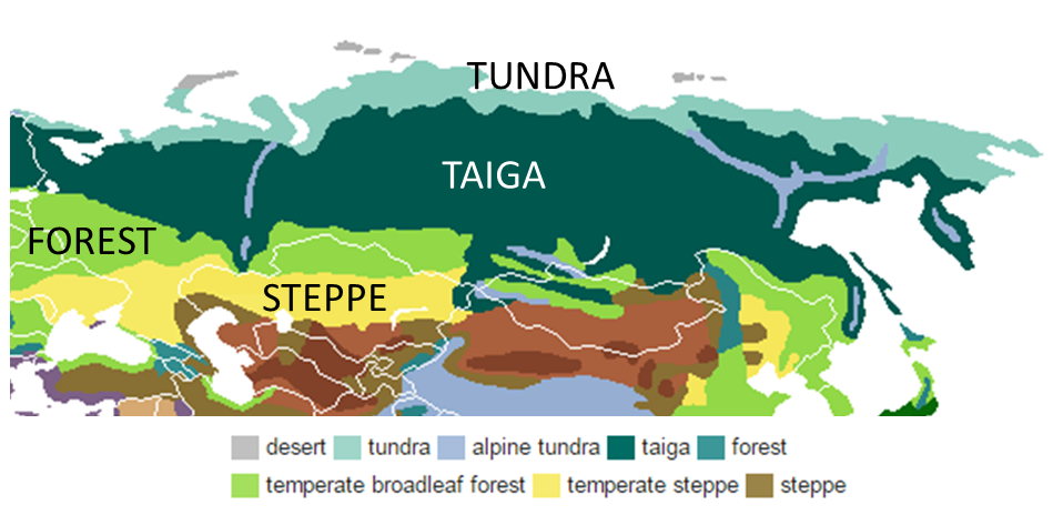 Map of the biomes of Russia