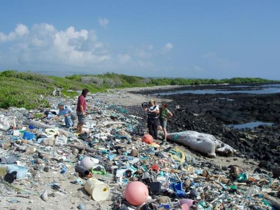 Picture of plastic debris on a Hawaii beach