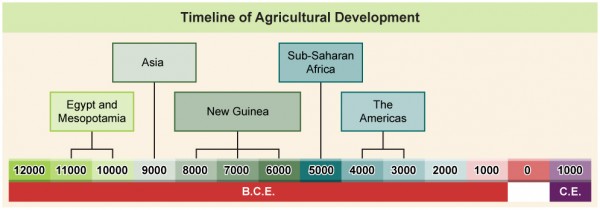 A table showing the time period of agricultural development for different cultures.