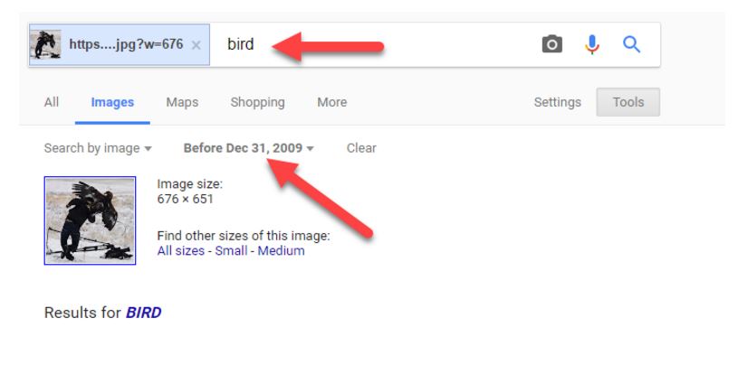 A new reverse image search, with a custom date of Dec 31, 2009 to exclude newer photos, such as those which may have been virally propagated under false pretenses. Now, our suggested search term is “bird.”