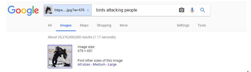 A Google reverse image search result that suggests the best search term to find our original source is “birds attacking people.”