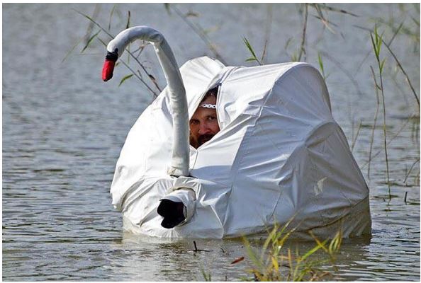 A photograph in which a man in a body of water is hiding with a camera in a swan hunting tent.